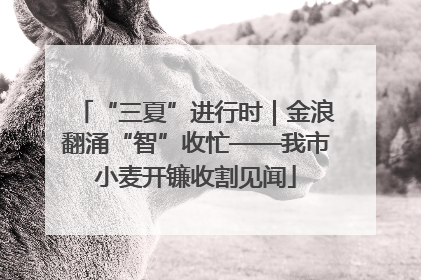 “三夏”进行时｜金浪翻涌“智”收忙——我市小麦开镰收割见闻